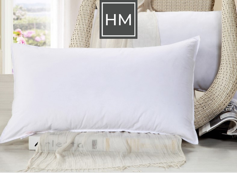 Hotel Range Microfiber Pillow Set with Pillow Cases