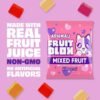 FruitBlox BloxSnacks Mixed Fruit (23g)